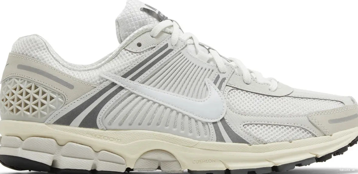 Tint Zoom Platinum Vomero 5 Nike 0705